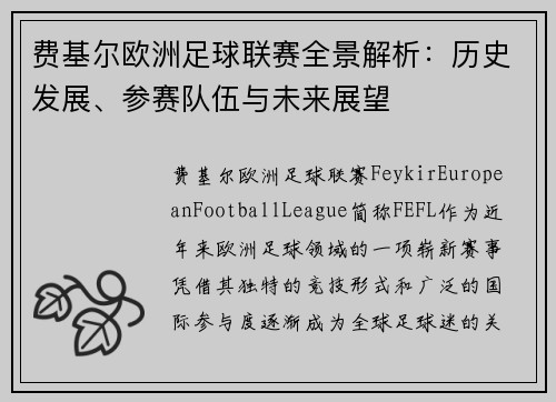 费基尔欧洲足球联赛全景解析：历史发展、参赛队伍与未来展望