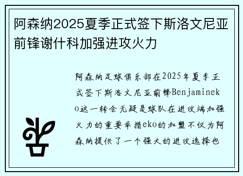 阿森纳2025夏季正式签下斯洛文尼亚前锋谢什科加强进攻火力