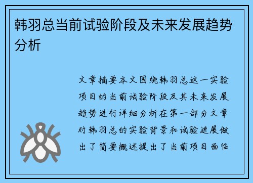 韩羽总当前试验阶段及未来发展趋势分析